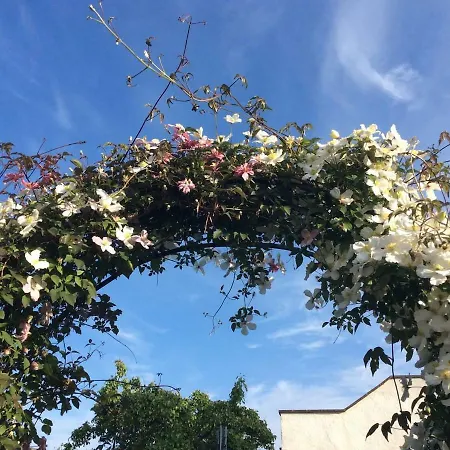 Ferienhaus The Hideaway - A Charming, Unique Retreat In Long Ashton, *